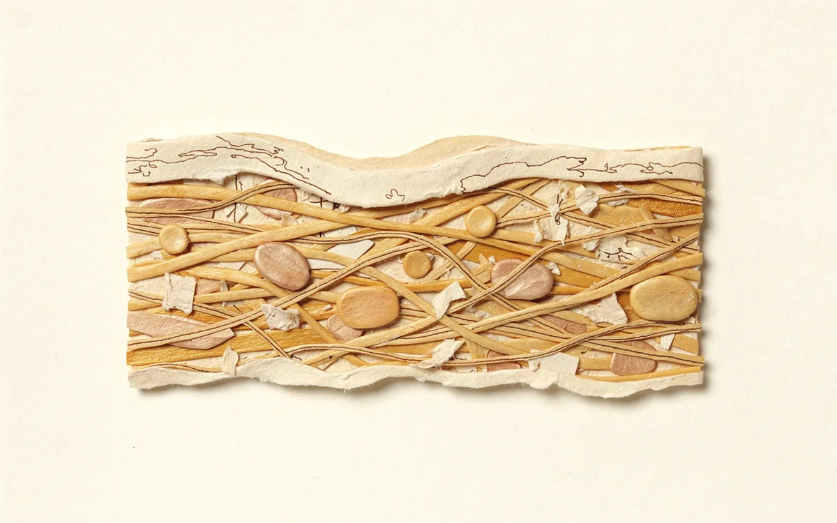 Cutaway illustration of skin with a surface layer and interwoven fibres beneath